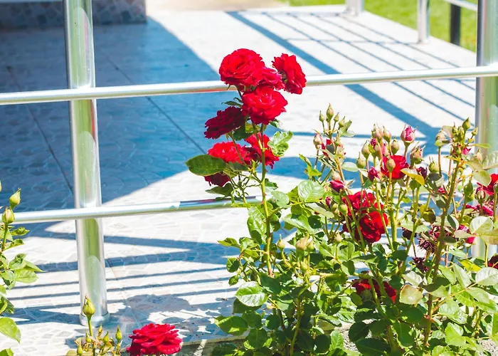 Kristi Houses * Krapets (Dobrich)